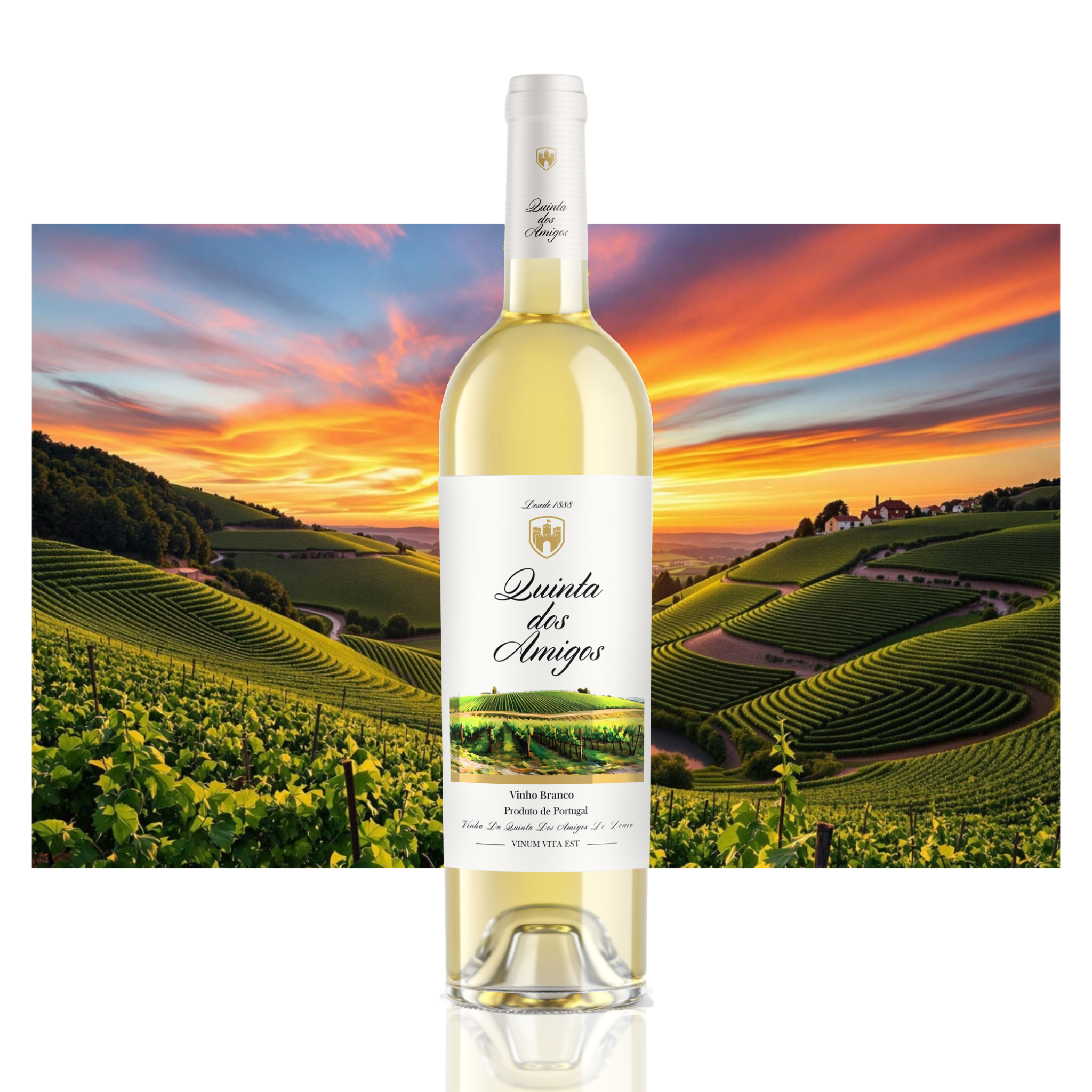 White Wine