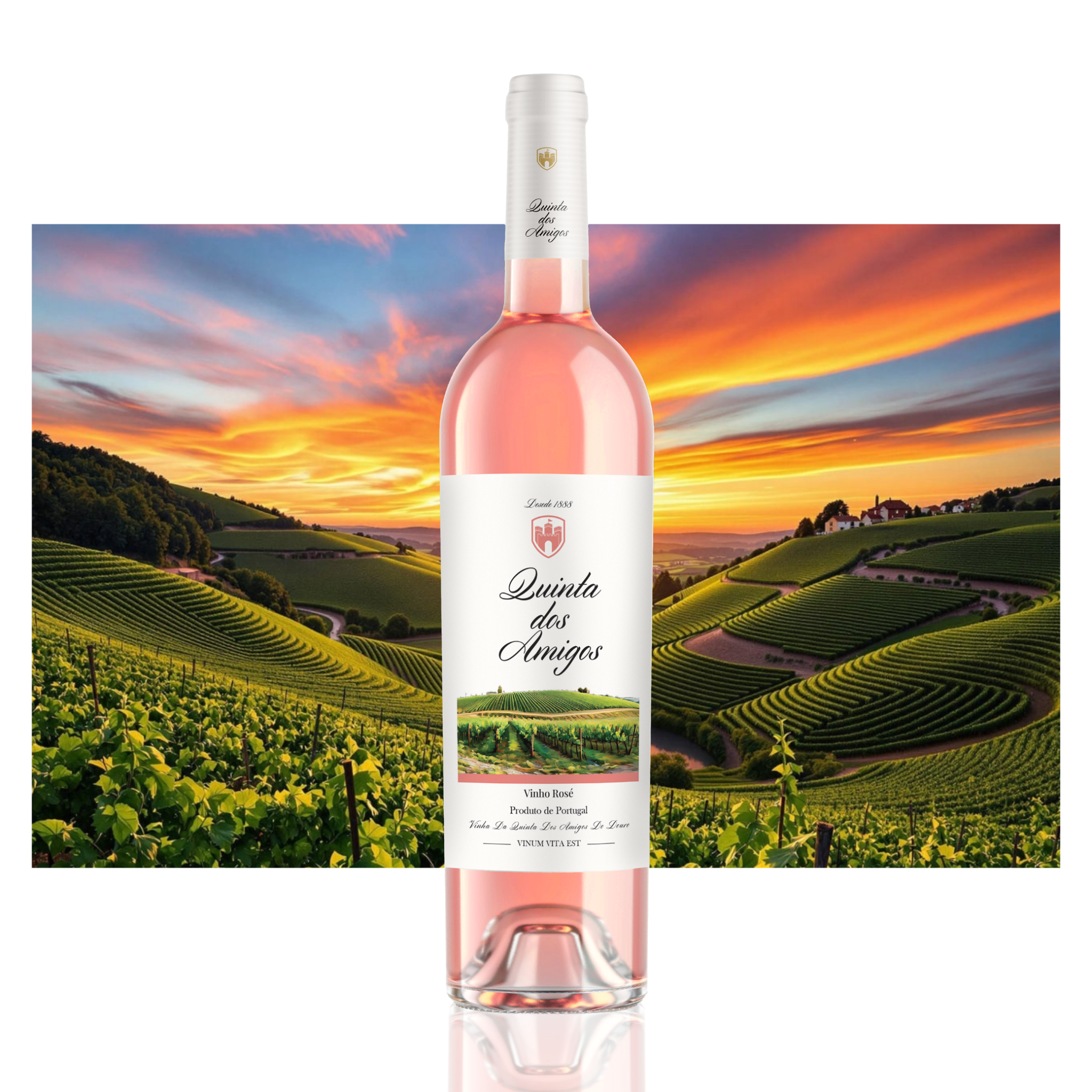 Rosé Wine